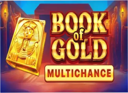 Ninecasino AU Book of Gold: Multichance